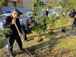 В Красногорске сотрудники полиции приняли участие в акции «Лес Победы» 2024