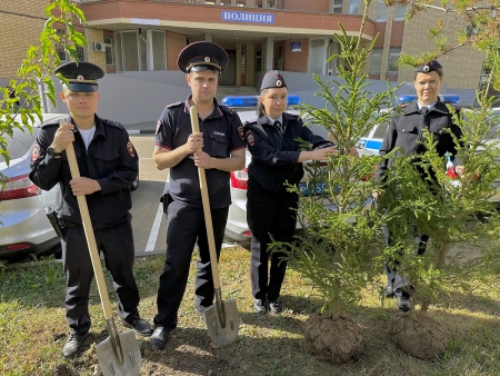 В Красногорске сотрудники полиции приняли участие в акции «Лес Победы» 2024